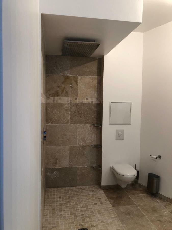 Loft Spa Reims-Fr 250M2 Privatifs, Piscine Interieure Chauffee, Spa Et Parking Ngoại thất bức ảnh
